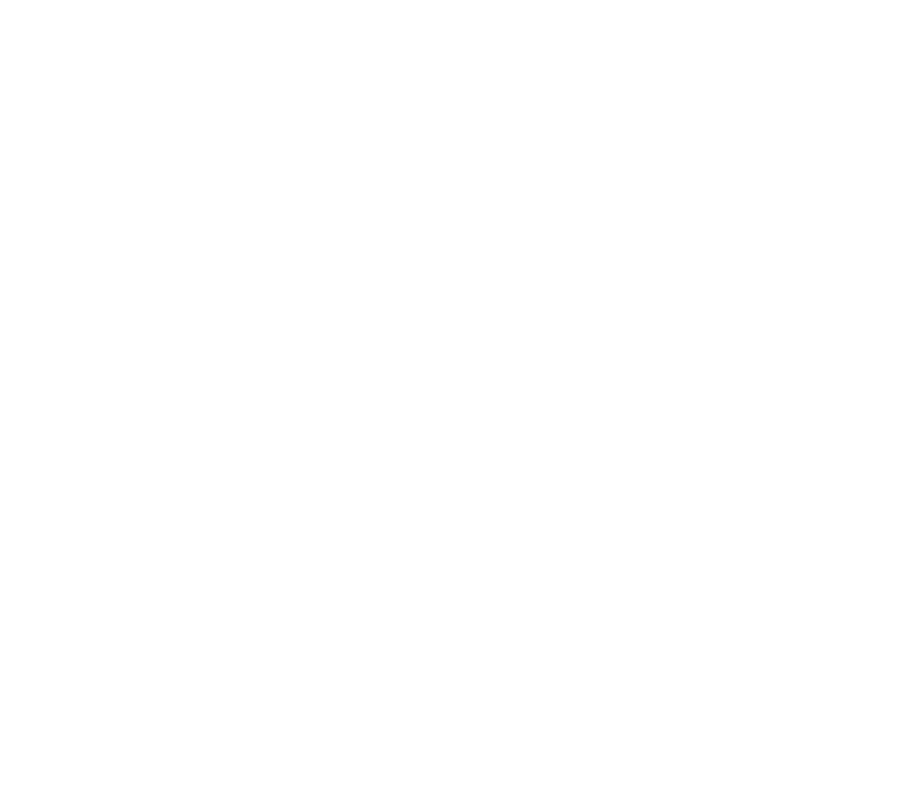 Professional Freelance Copywriter | Wild House Writers | Erika Musser