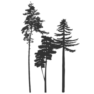 The Timbers on Alkali Creek Logo